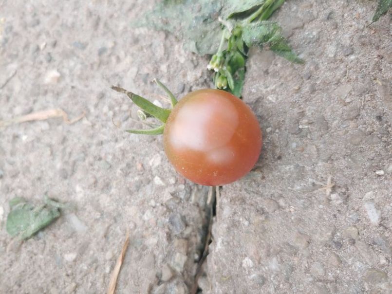 20230912_175054.jpg