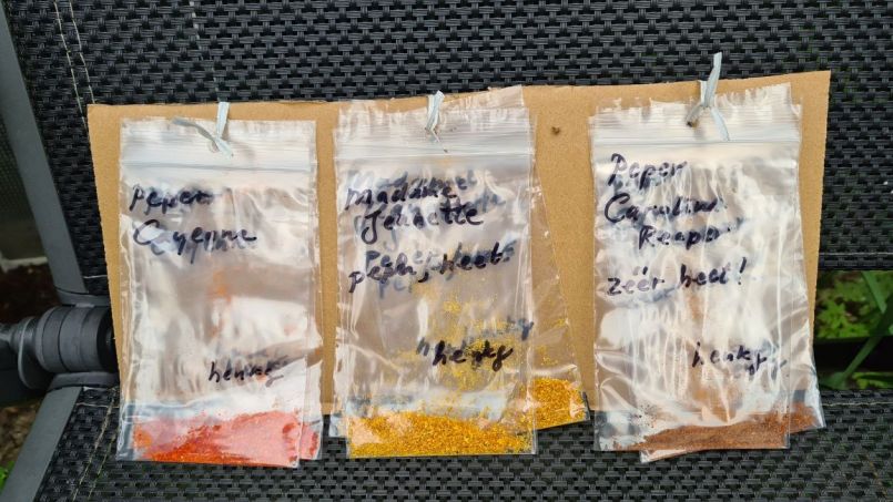 20231006_Proefzakjes_Peper.jpg