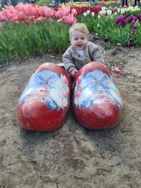 image4.thumb.jpeg.08652ad06a33396c5a37674d3ede26ac.jpeg