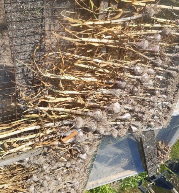 20210705_175549 (2).jpg