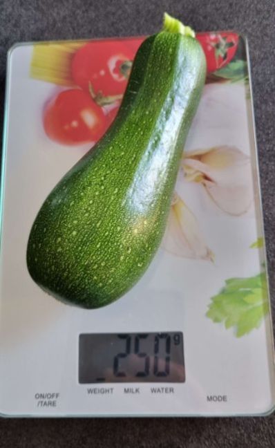 11 juli van W7 1e courgette.jpg