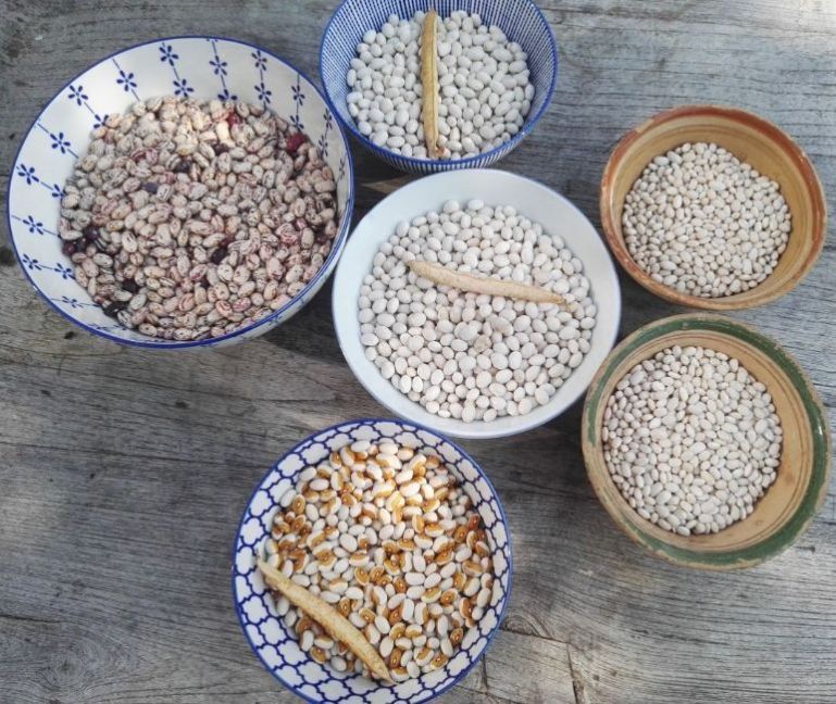 IMG_20181006_130441.jpg.89ebdebd225b1ab25a90e23e1862f627 (1).jpg