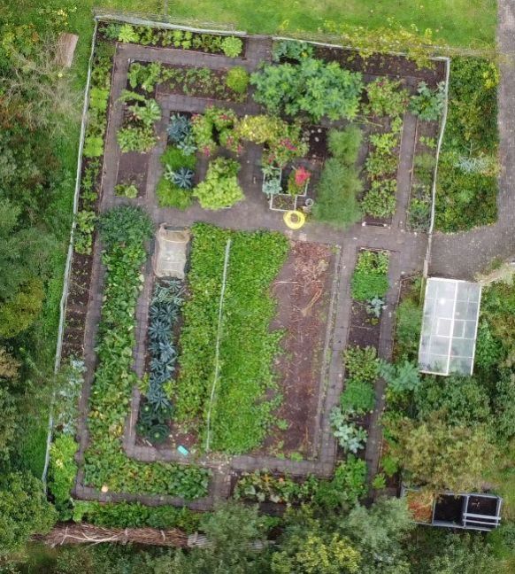 moestuin.jpg
