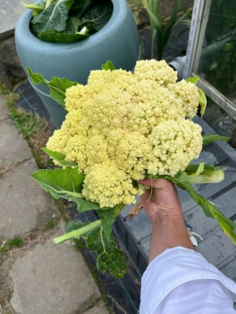 thumbnail_image1(3).thumb.jpg.7d9abf2c86be2d1718fc381fe86c01b8.jpg