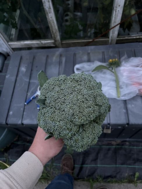thumbnail_image1(8).thumb.jpg.705bfc1409bb8fa1a9c8e81b4b67cdd1.jpg