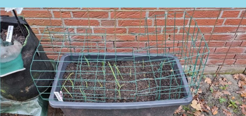 20241118_152353 blauw.jpg