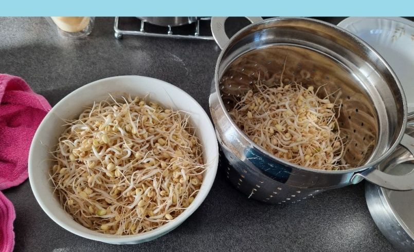 20250127_122621 blauw.jpg