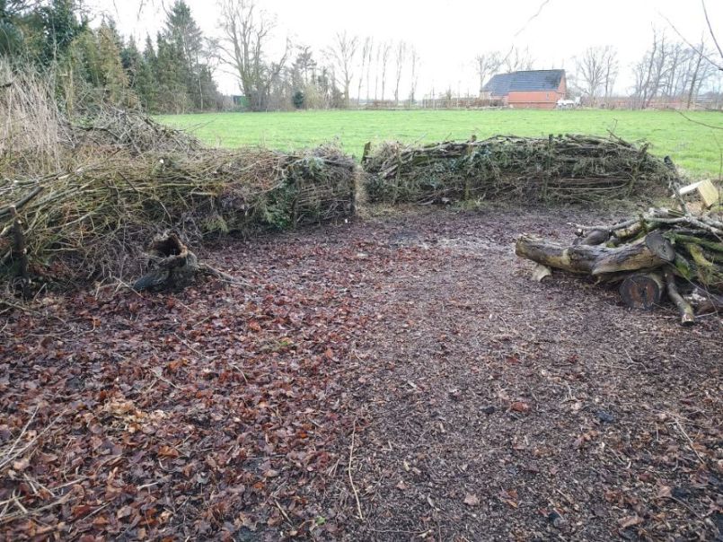 WhatsApp Image 2025-01-09 at 16.11.01.jpeg