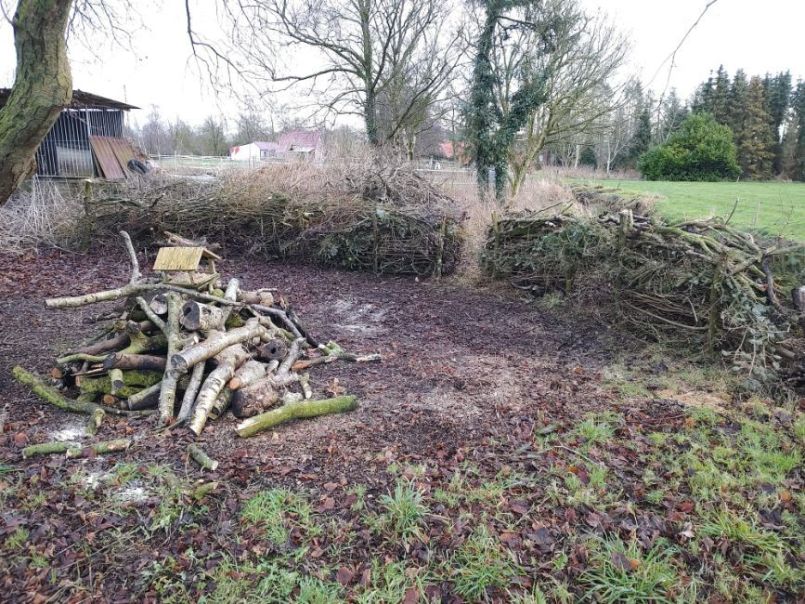 WhatsApp Image 2025-01-09 at 16.11.02.jpeg