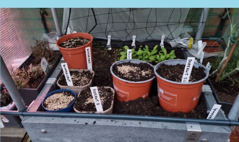 20250213_174225 blauw.jpg