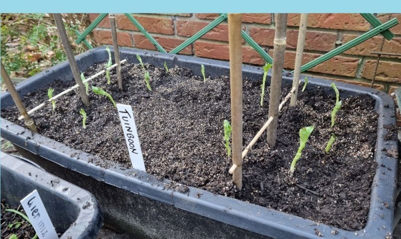 20250221_160048 forum.jpg