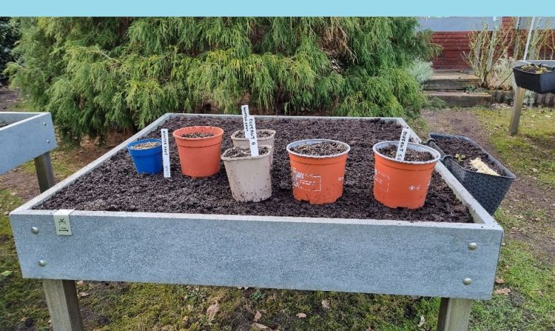 20250221_163941 blauw.jpg