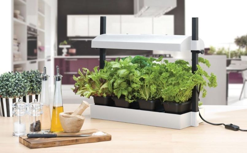 g187w_micro_grow_light_garden_lifestyle_2.thumb.jpg.cf690a10d3d3c88d496e86ea88b84078.jpg