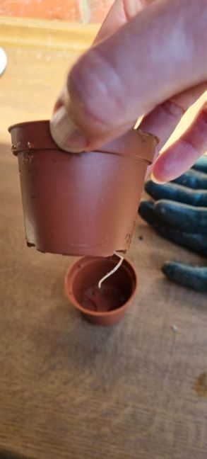 12 mei potjes te klein.jpg