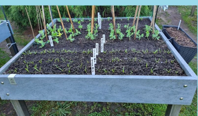 20250329_173844 blauw.jpg