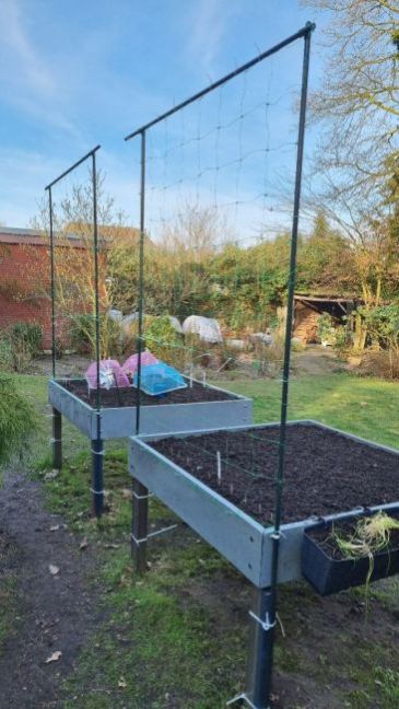 Rekken rozentuin 2.jpg