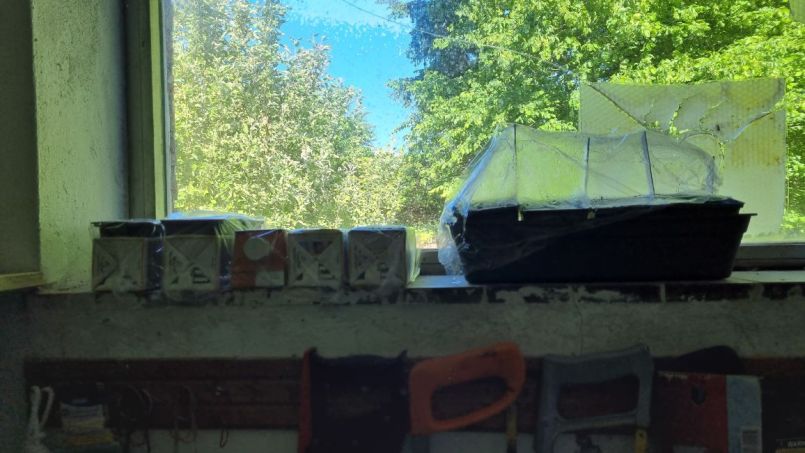 20250515_180719.jpg