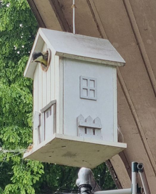 20250516_171623 gesneden.jpg