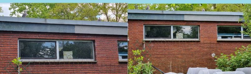 Duiven met blauw.jpg