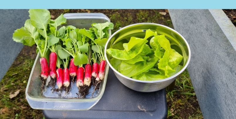 20240418_164043 blauw.jpg