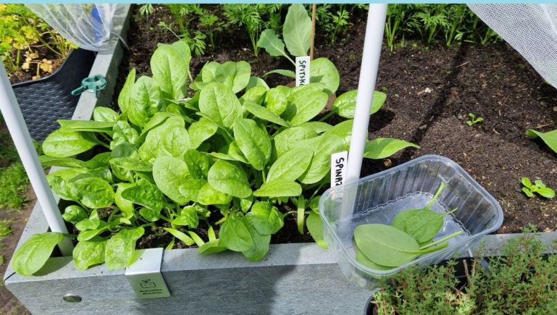 20250528_114700 blauw.jpg