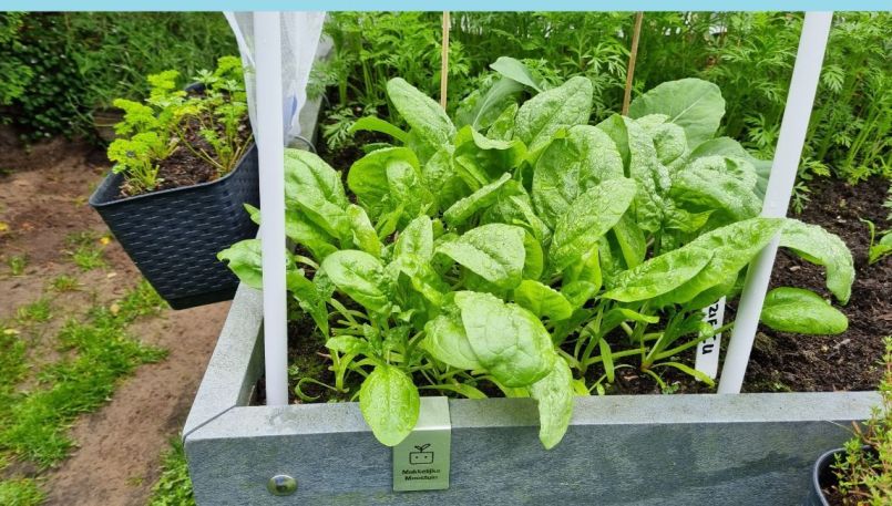 20250604_151935 blauw.jpg