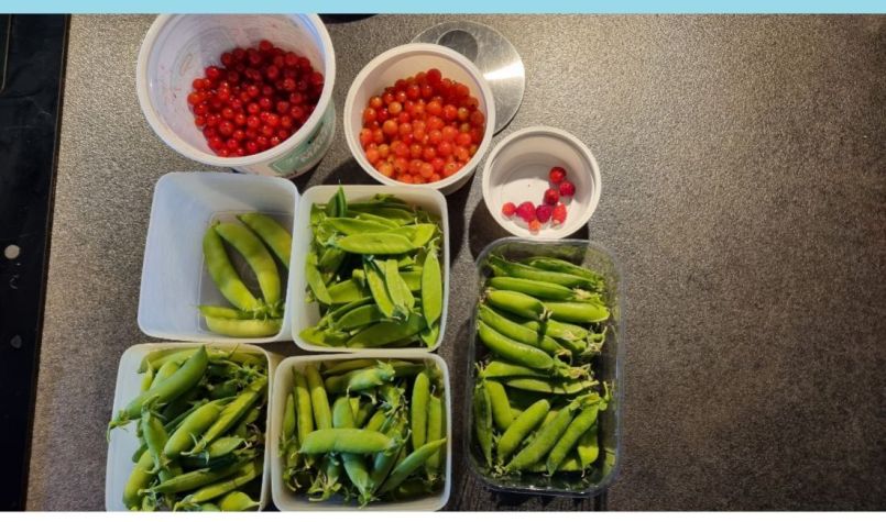 20250609_130927 blauw.jpg