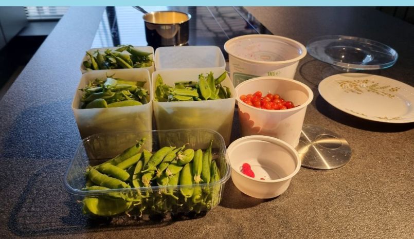 20250609_131058 blauw.jpg