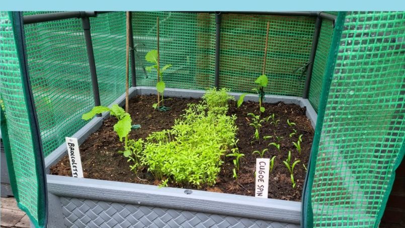 20250609_173532 blauw.jpg