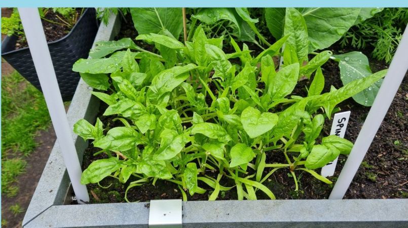 20250609_173613 blauw.jpg