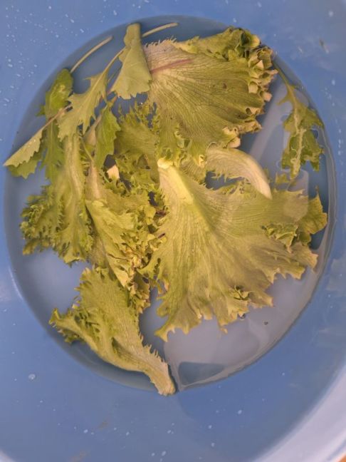 20250629_174021.jpg
