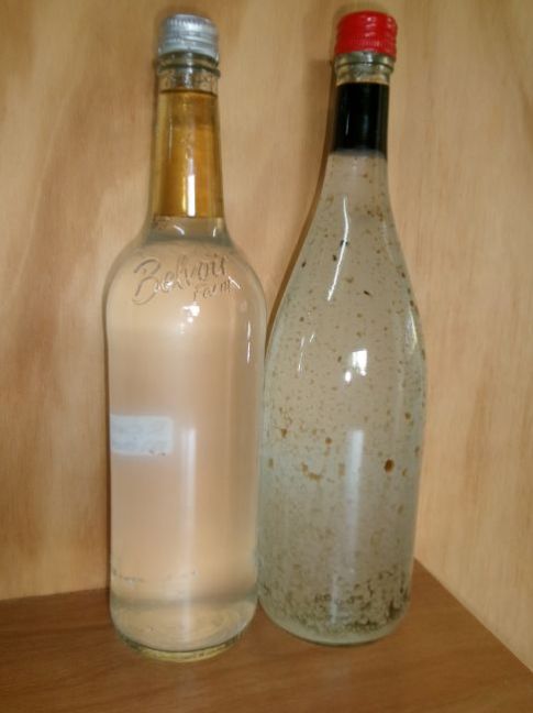 227_4191.JPG