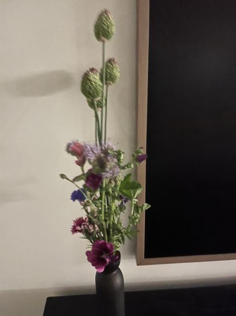 IMG_6491.jpeg