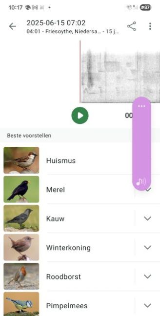 Vogels 1.jpg