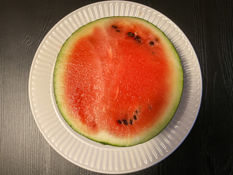 09 Watermeloen 2025-07-16 02.png