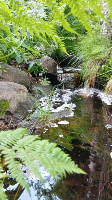 20250707_121350.jpg