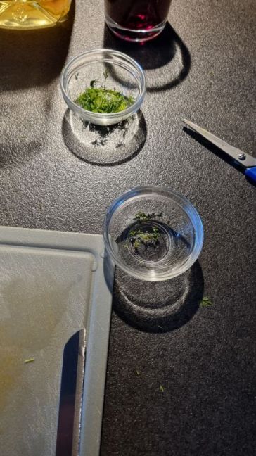 20250723_190751.jpg