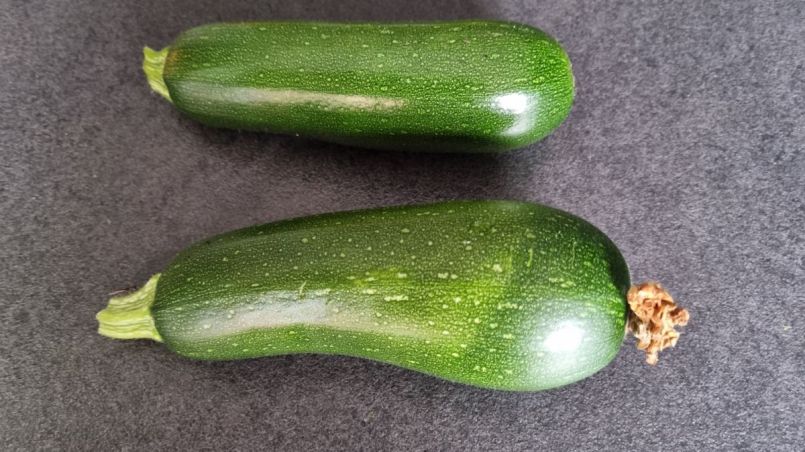 Courgettes no 4 en 5.jpg