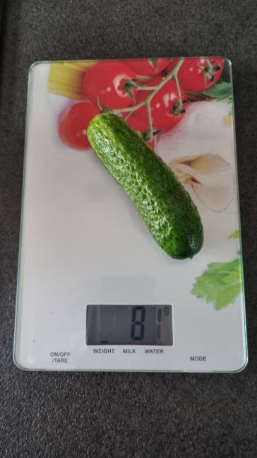 No 4 uit K3, plant 12 .jpg