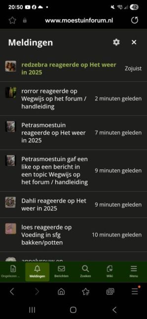 Screenshot_20250702_205058_Samsung Internet.jpg