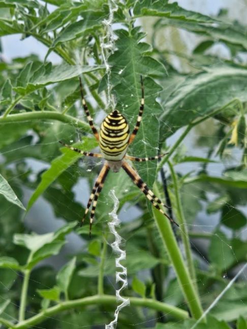 WhatsApp Image 2025-07-14 at 20.11.29_8f33d20a.jpg