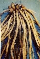 asperges-zwaar.jpg