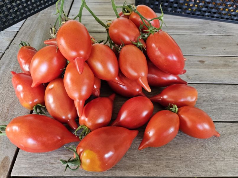 20250802_170052 (1).jpg