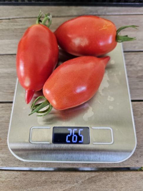 20250802_170318 (1).jpg