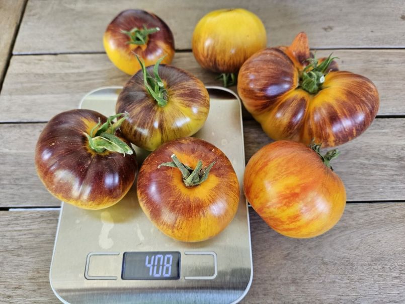 20250802_172540 (1).jpg