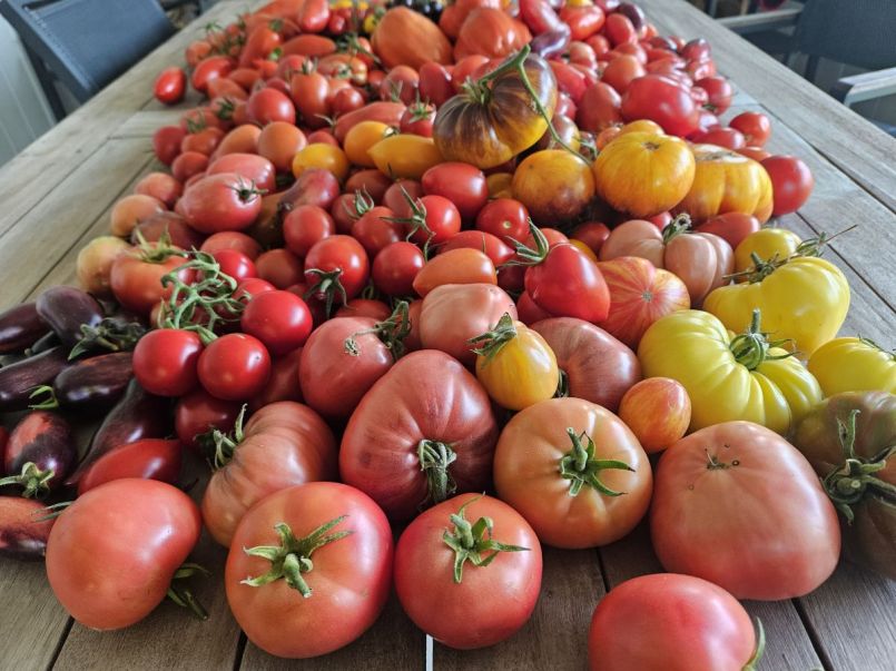 20250806_173806 (1).jpg