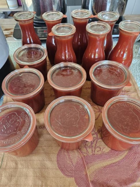 20250807_123109 (1).jpg