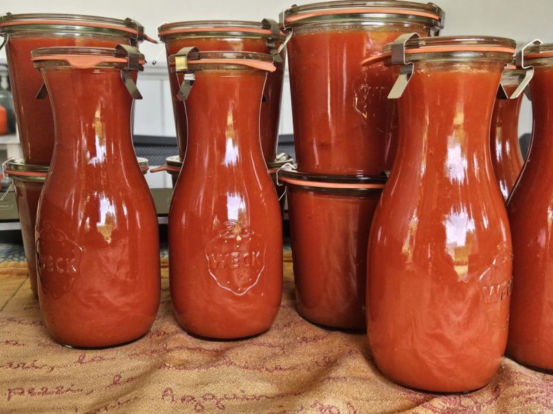 20250807_134740 (1).jpg