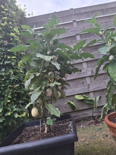 WhatsApp Image 2025-08-21 at 19.01.19_bf56ed25.jpg