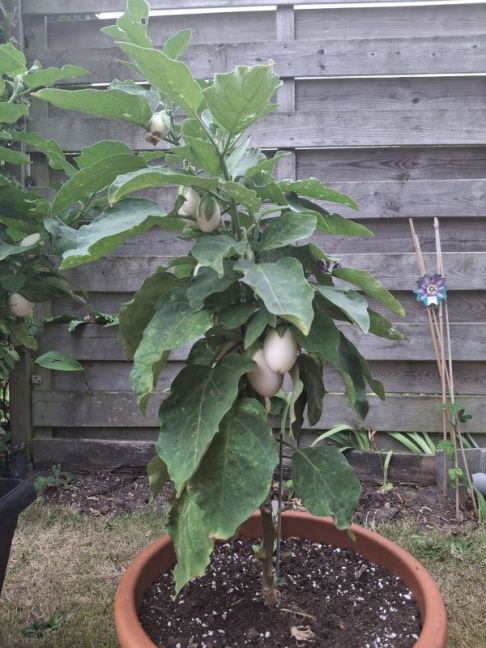 WhatsApp Image 2025-08-21 at 19.01.19_fa786bec.jpg